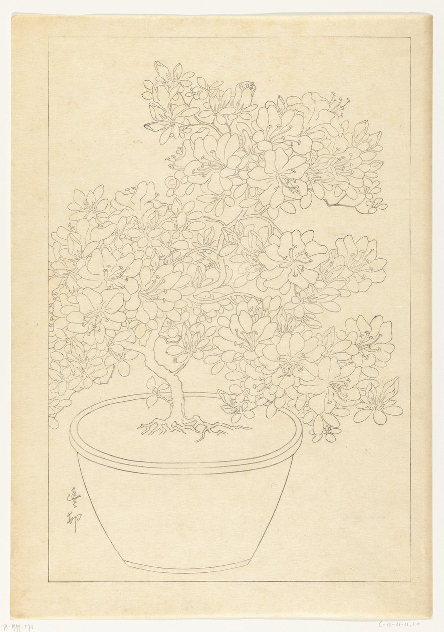 Blomstrende azalea i potte af Ohara Koson