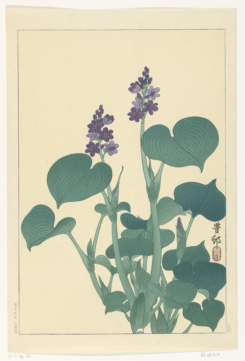 Blomstrende hosta af Ohara Koson