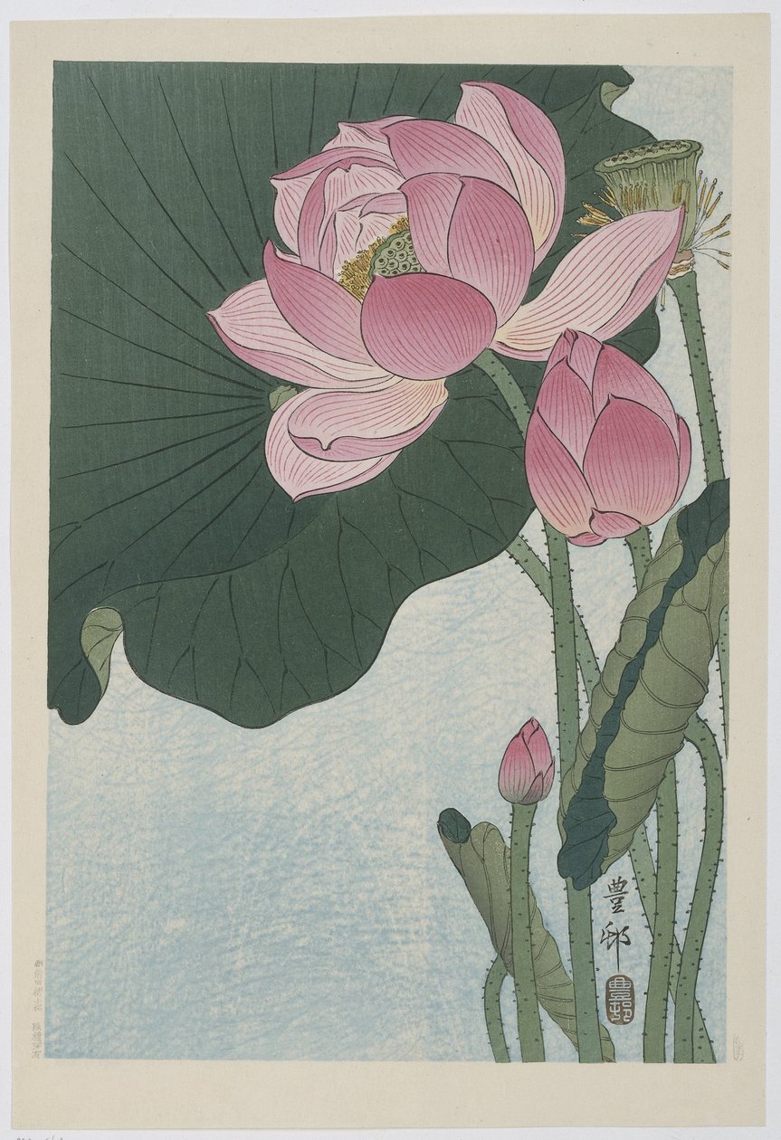 Blomstrende lotusblomster af Ohara Koson