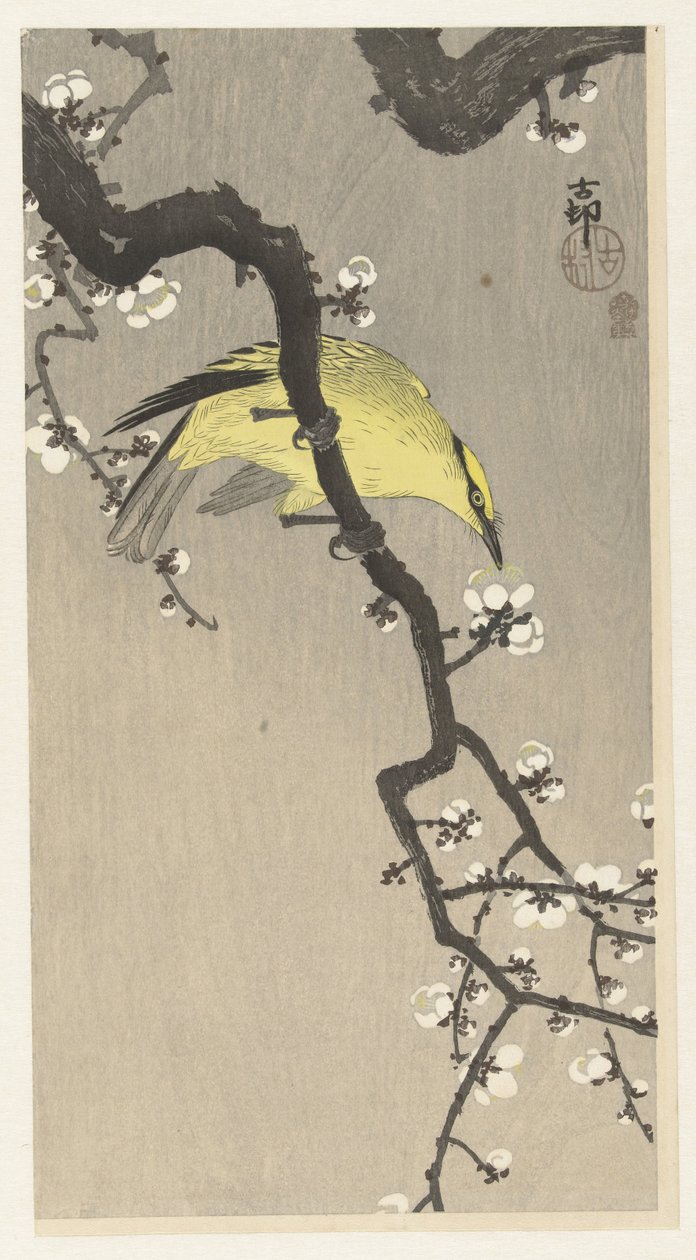 Kinesisk oriole på blommeblomstgren af Ohara Koson