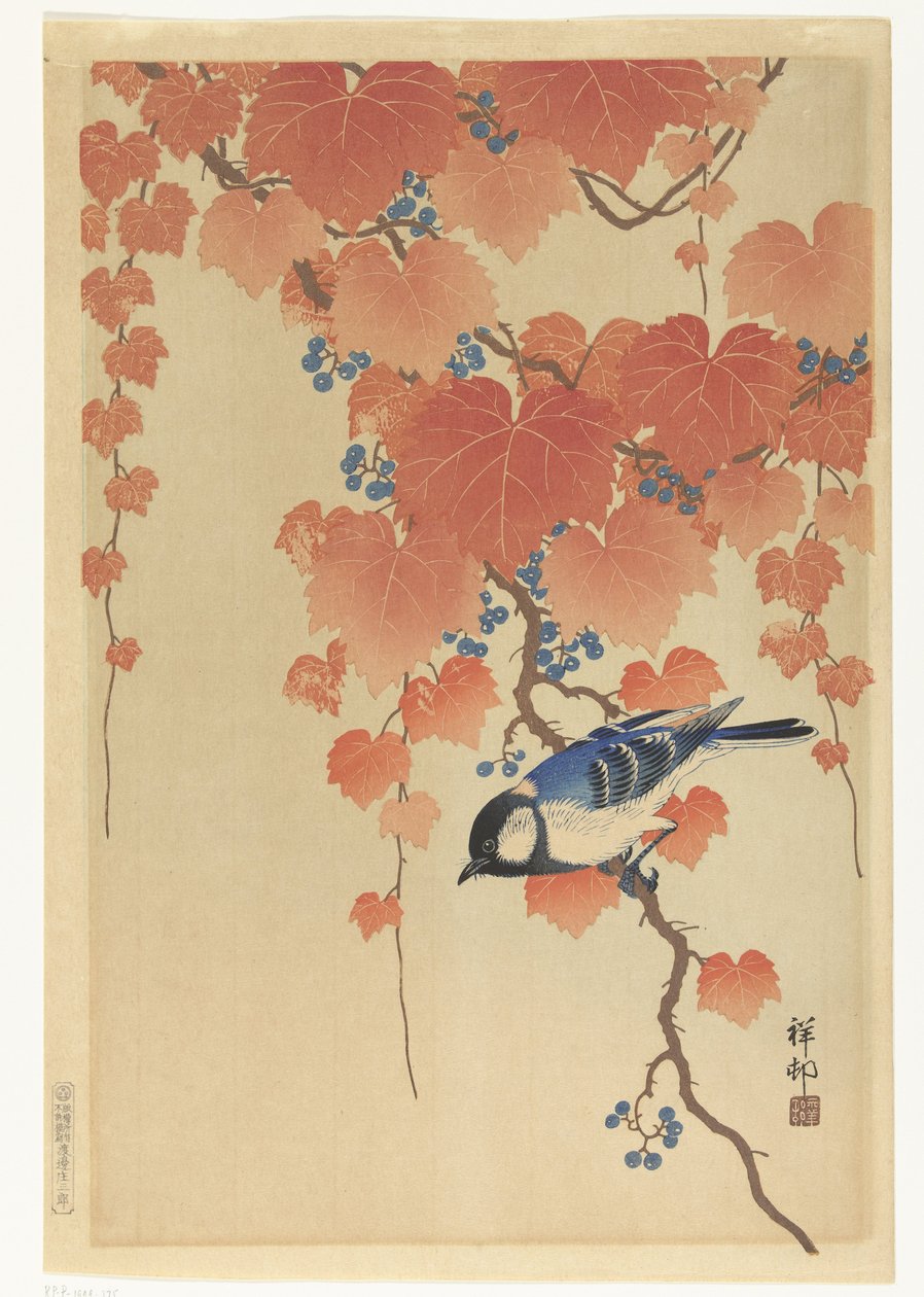 Kulmejse er en Paulownia-gren af Ohara Koson