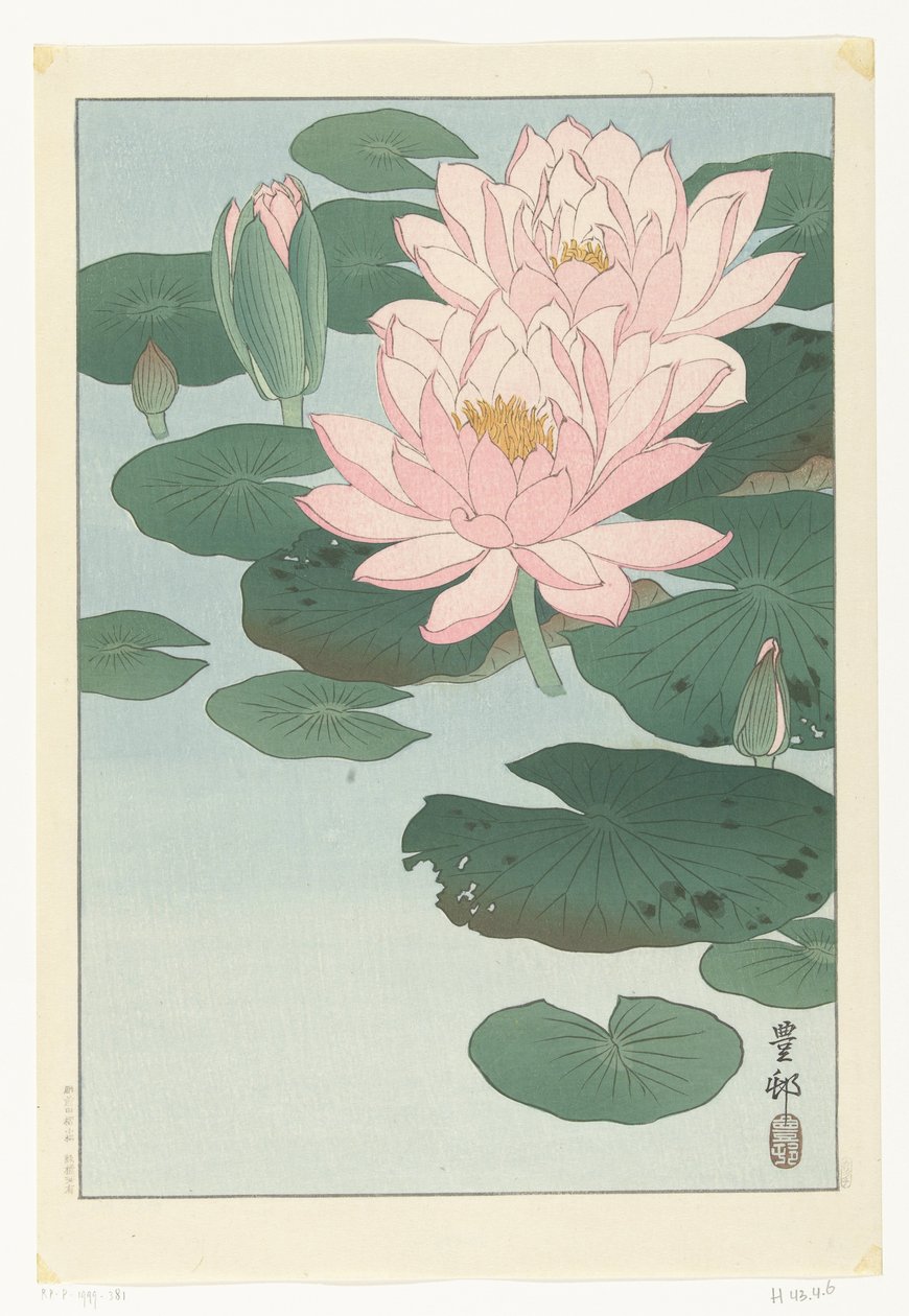 Blomstrende åkande af Ohara Koson