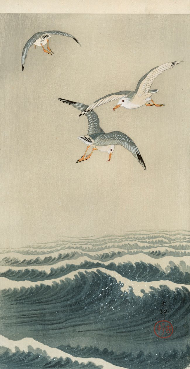 Måger til søs af Ohara Koson