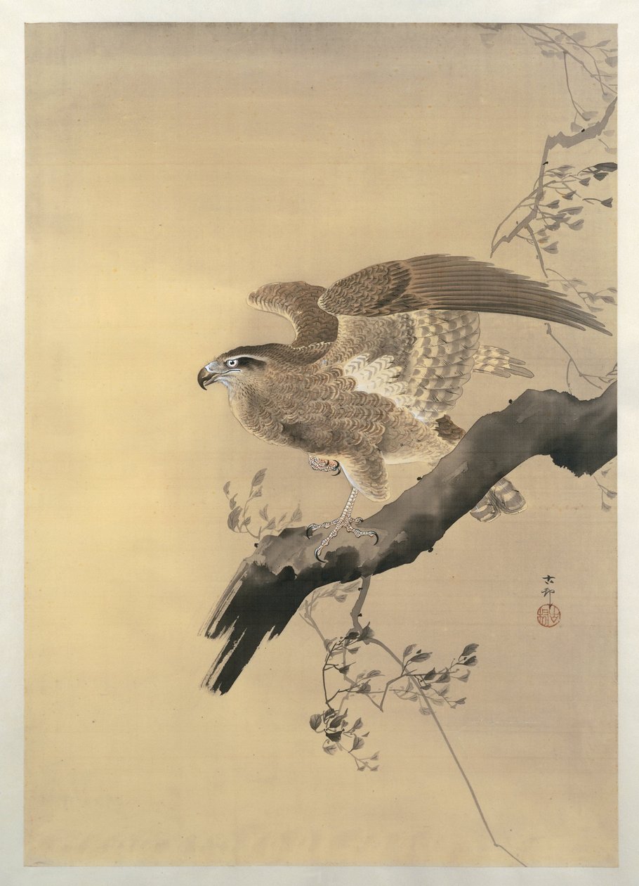 Høg af Ohara Koson