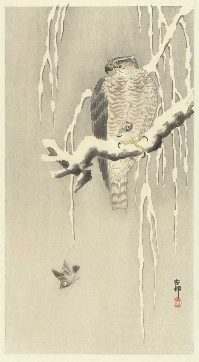 Høg med fanget græsspurv. af Ohara Koson