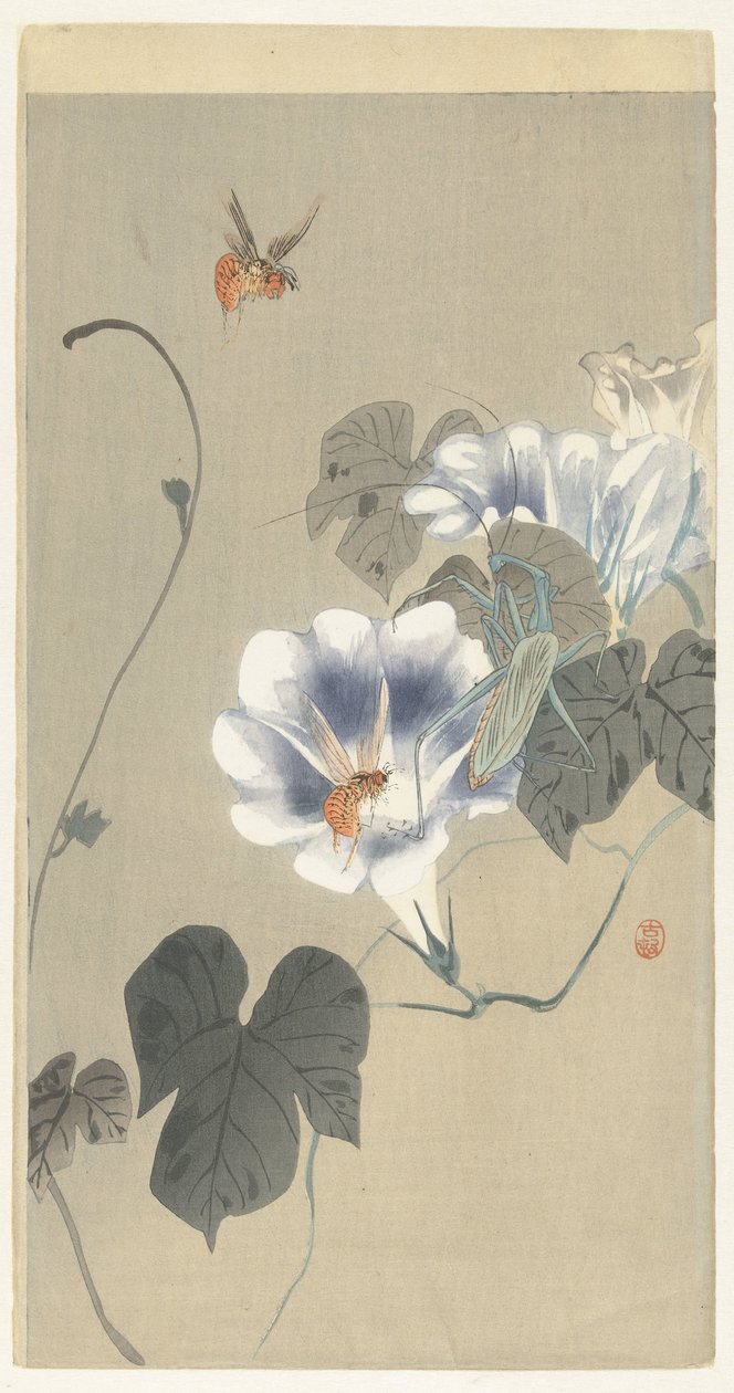 Insekter i bindweed af Ohara Koson