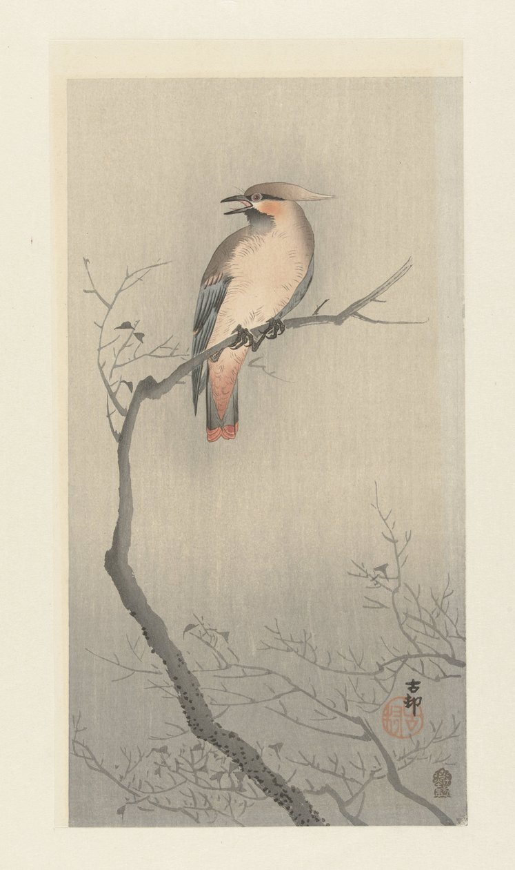 Japansk voksvinge på gren af Ohara Koson