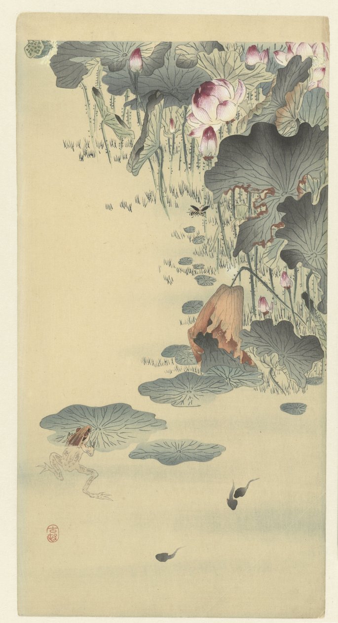 Frø og haletudser af Ohara Koson