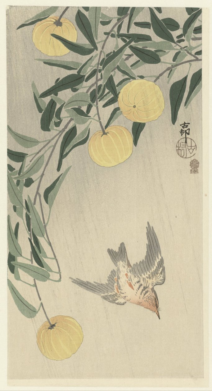 Gøg i regnen af Ohara Koson