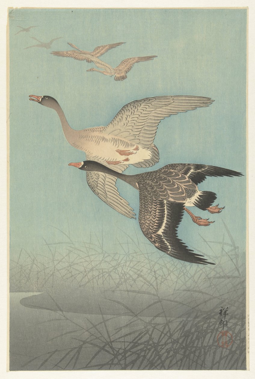 Blisgæs i flugt af Ohara Koson