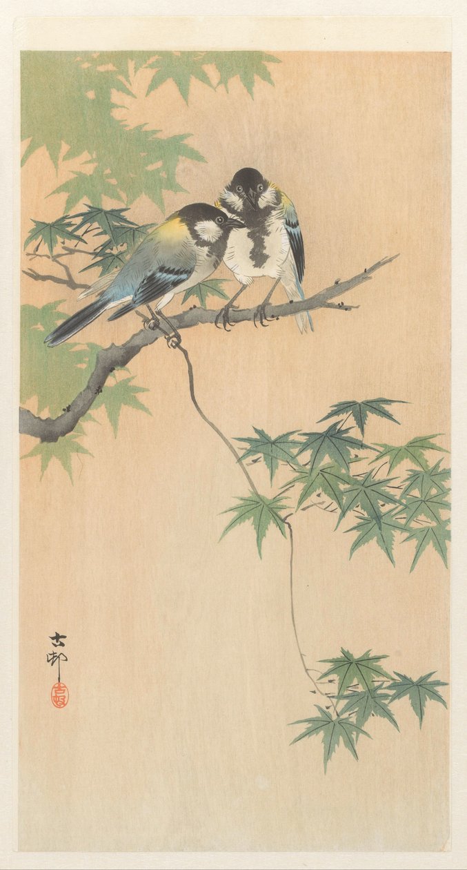 Store bryster på ahorngren af Ohara Koson