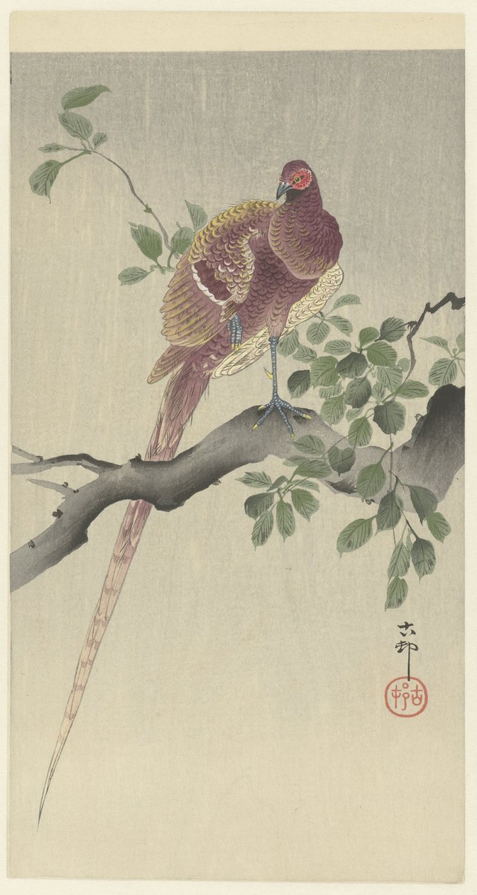 coperfazant af Ohara Koson