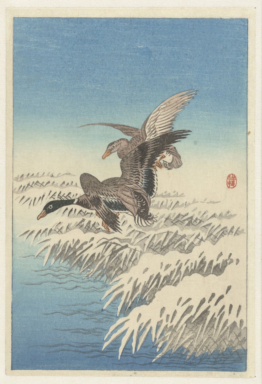 Ænder, der flyver over snedækket sivkrave af Ohara Koson