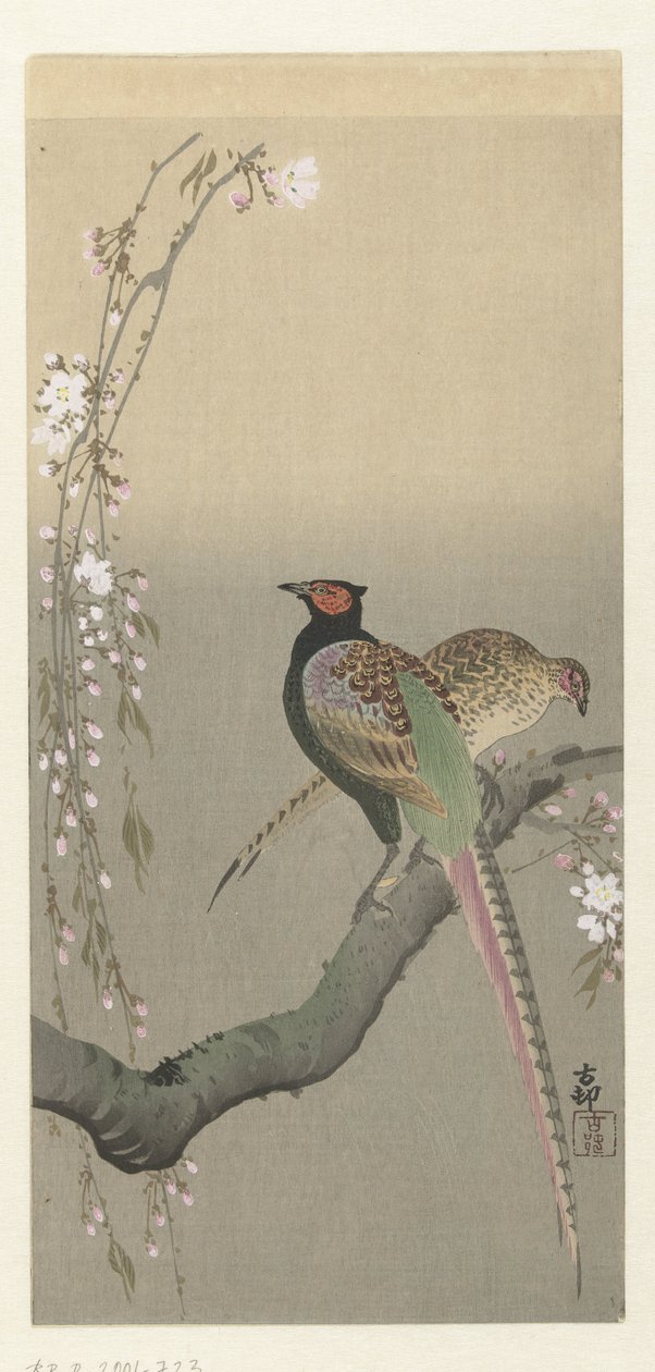 Et par fasaner og kirsebærblomst af Ohara Koson
