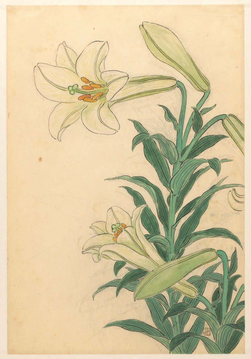 Liljer Teppoyuri af Ohara Koson