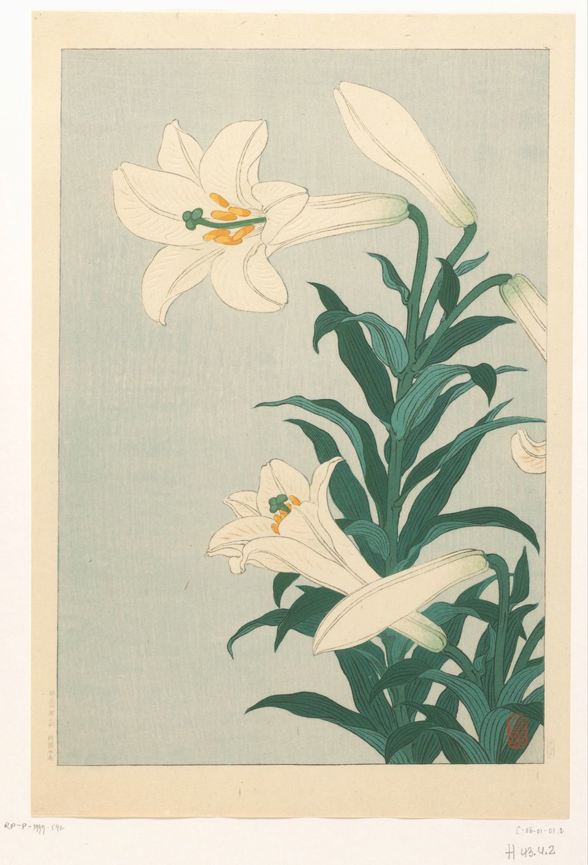 Lelies af Ohara Koson
