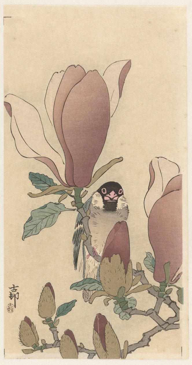 Spurv på blomstrende magnolia gren af Ohara Koson