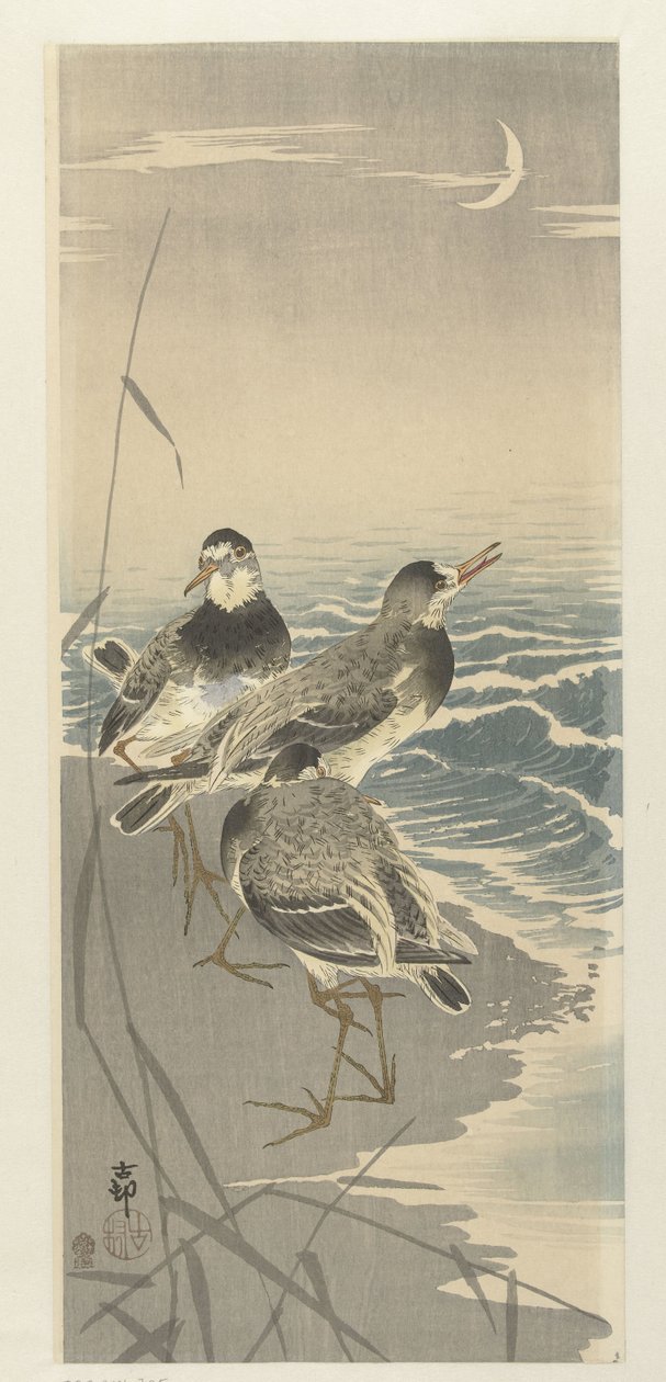 Sandpiper ved seglmåne af Ohara Koson
