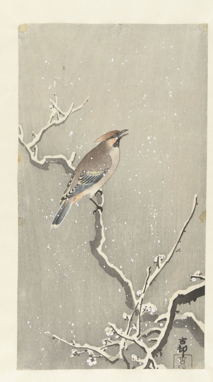 Voksvinge på snedækket gren af Ohara Koson