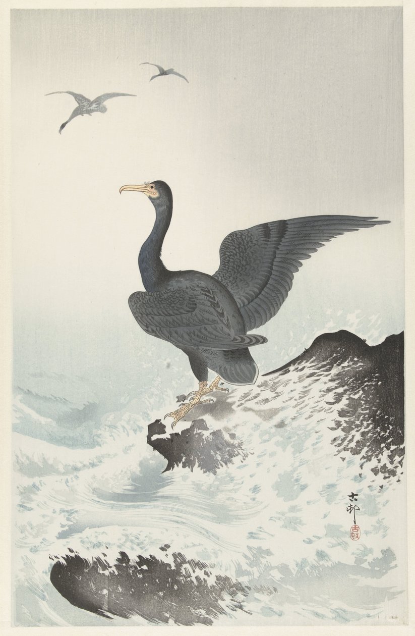 Rødmasket skarv på sten af Ohara Koson