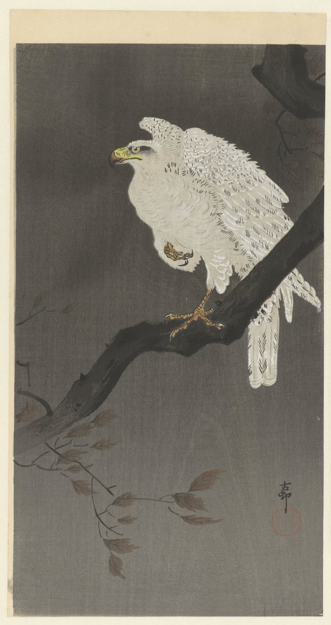 Lumikotka oksalla af Ohara Koson