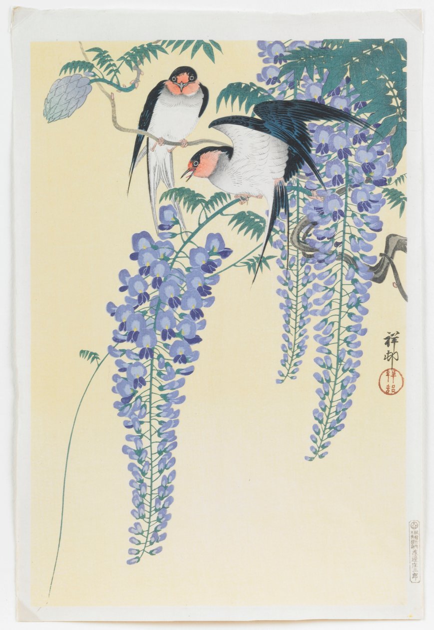 Svaler og Wisteria af Ohara Koson