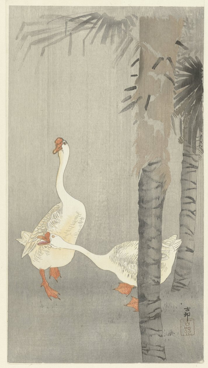 Tamme over det hele i regnvejr af Ohara Koson