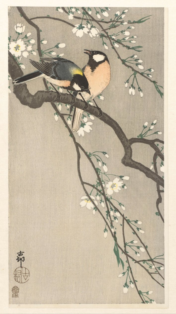 Bryster på Cherry Branch af Ohara Koson
