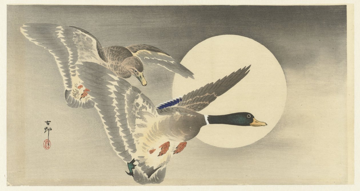 To ænder ved fuldmåne af Ohara Koson