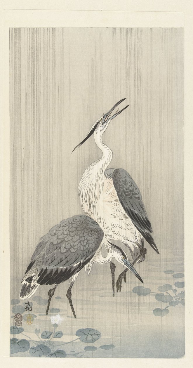 To hejrer i regnen af Ohara Koson