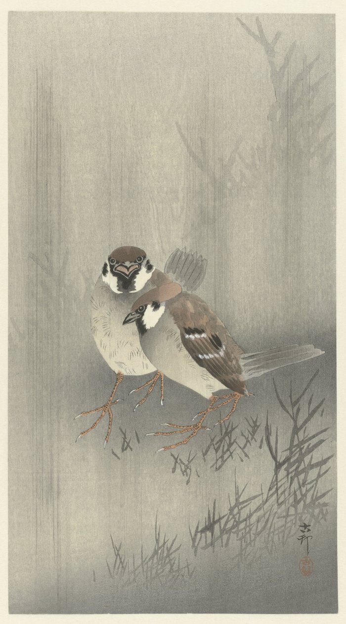 To ringspurve i regnen af Ohara Koson