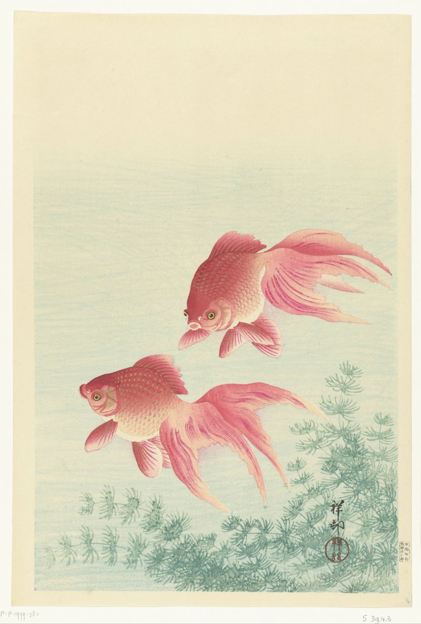 Guldfisk med to slørhale af Ohara Koson