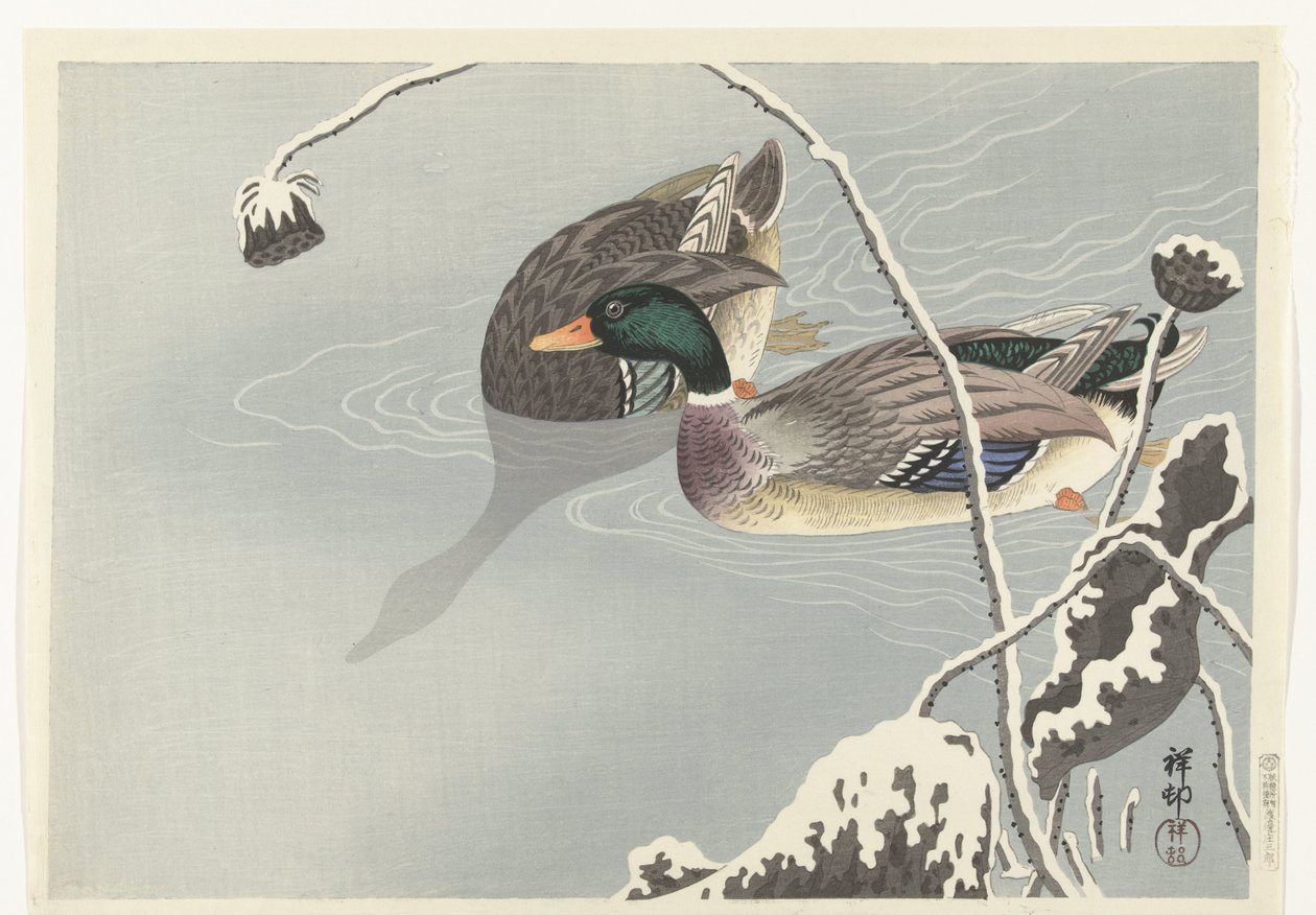 To gråænder nær en snedækket lotus af Ohara Koson
