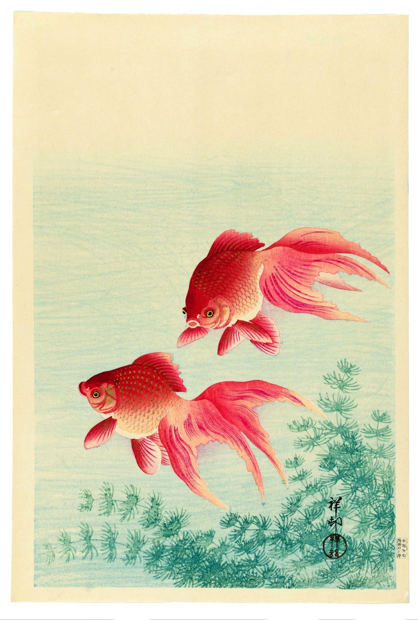 To slørhalede guldfisk af Ohara Koson