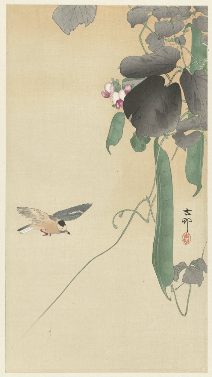 Fugl ved blomstrende bønneplante af Ohara Koson