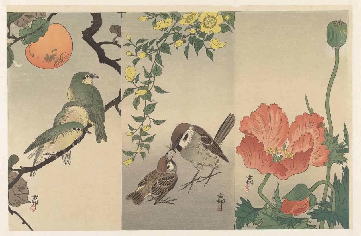 Fugle og planter af Ohara Koson