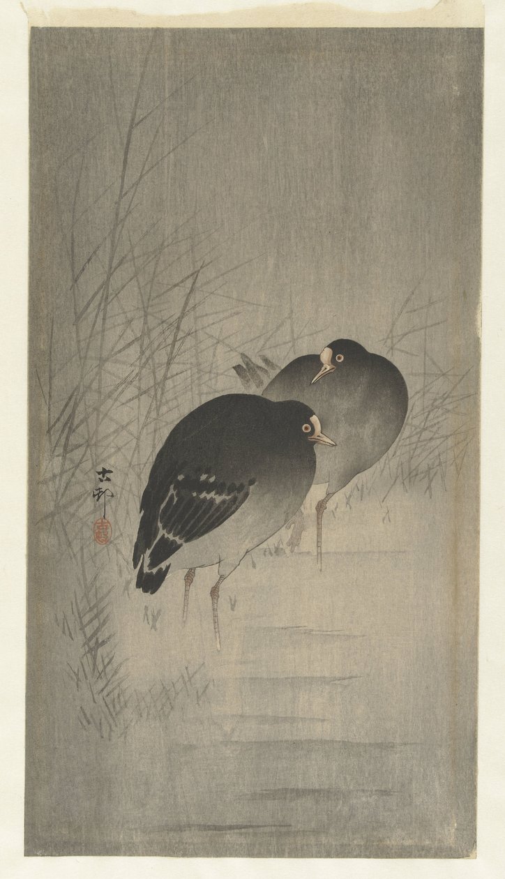 Morhøns mellem siv af Ohara Koson