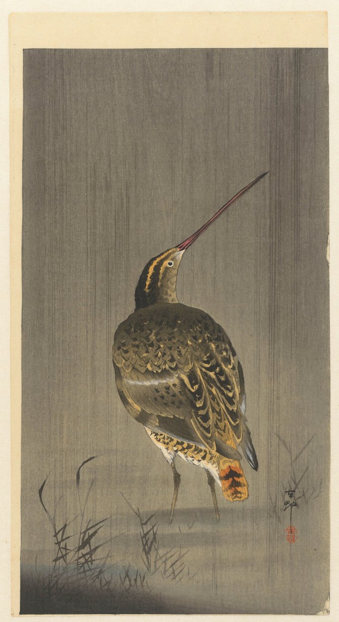 Snipe i regnen af Ohara Koson