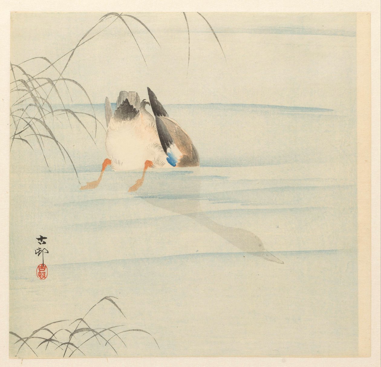Gråand, hovedet under vand af Ohara Koson