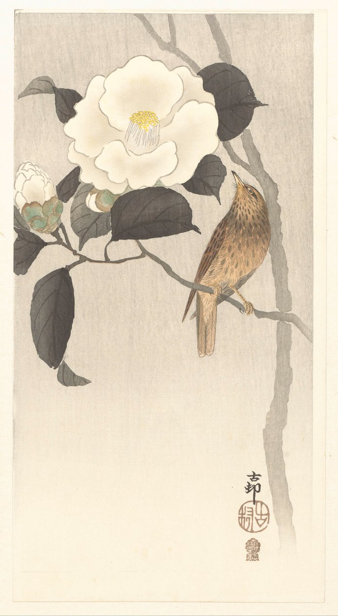 Sangfugl og blomstrende kamelia af Ohara Koson