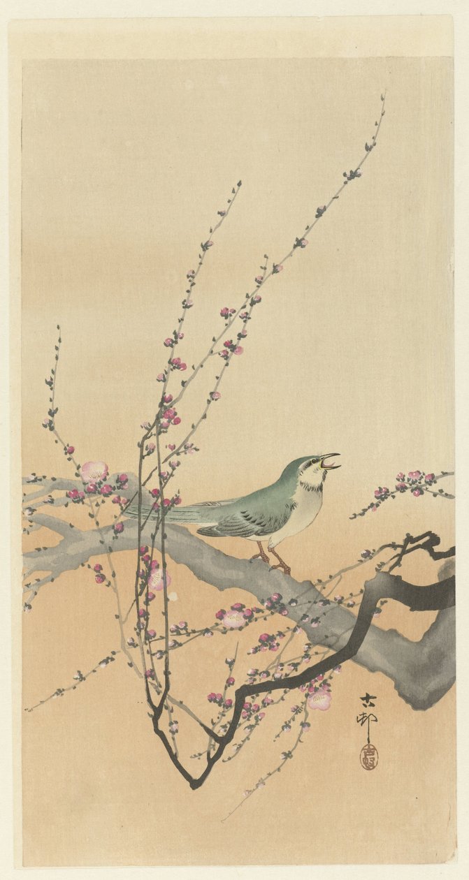 Sangfugl og blommeblomst. af Ohara Koson