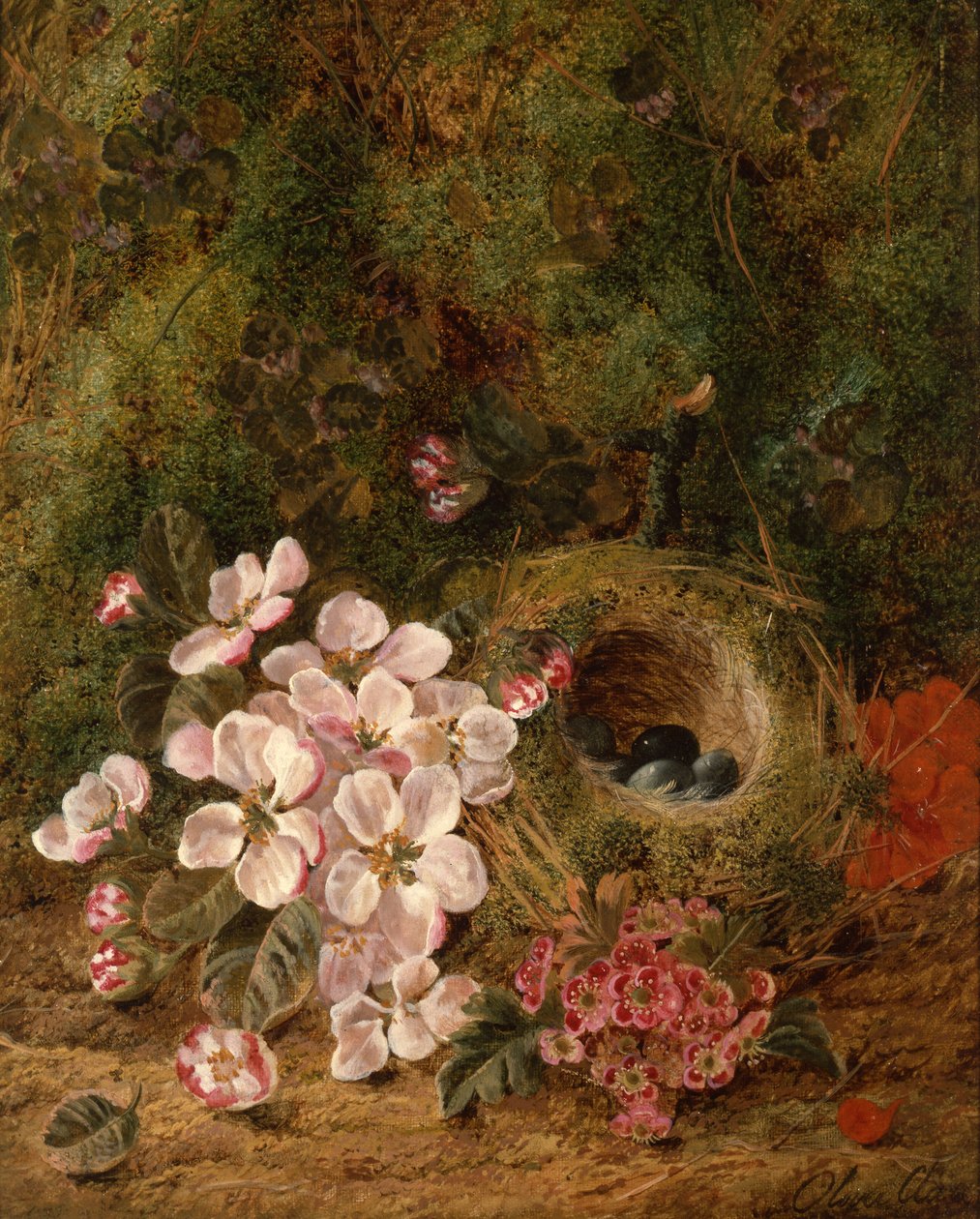 Fuglerede af Oliver Clare
