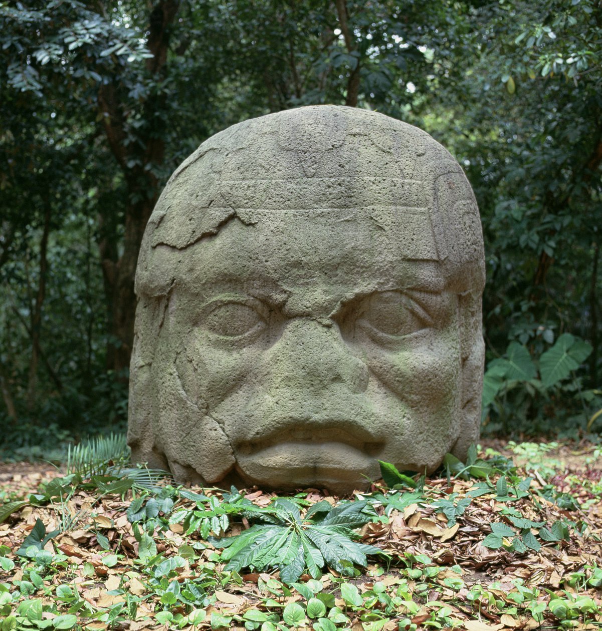 Colossal Head 4, præ-klassisk periode af Olmec