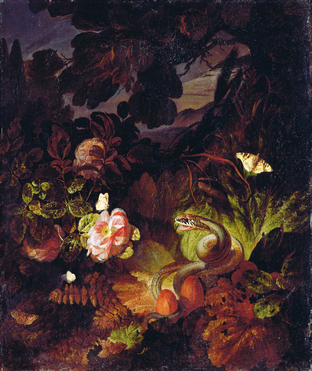 Blomster, slange og sommerfugle af Otto Marseus  van Schrieck