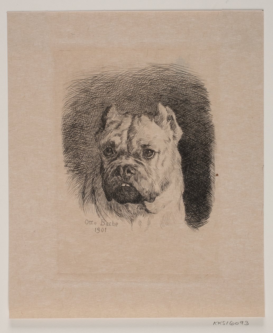 Et hundehoved af Otto Bache