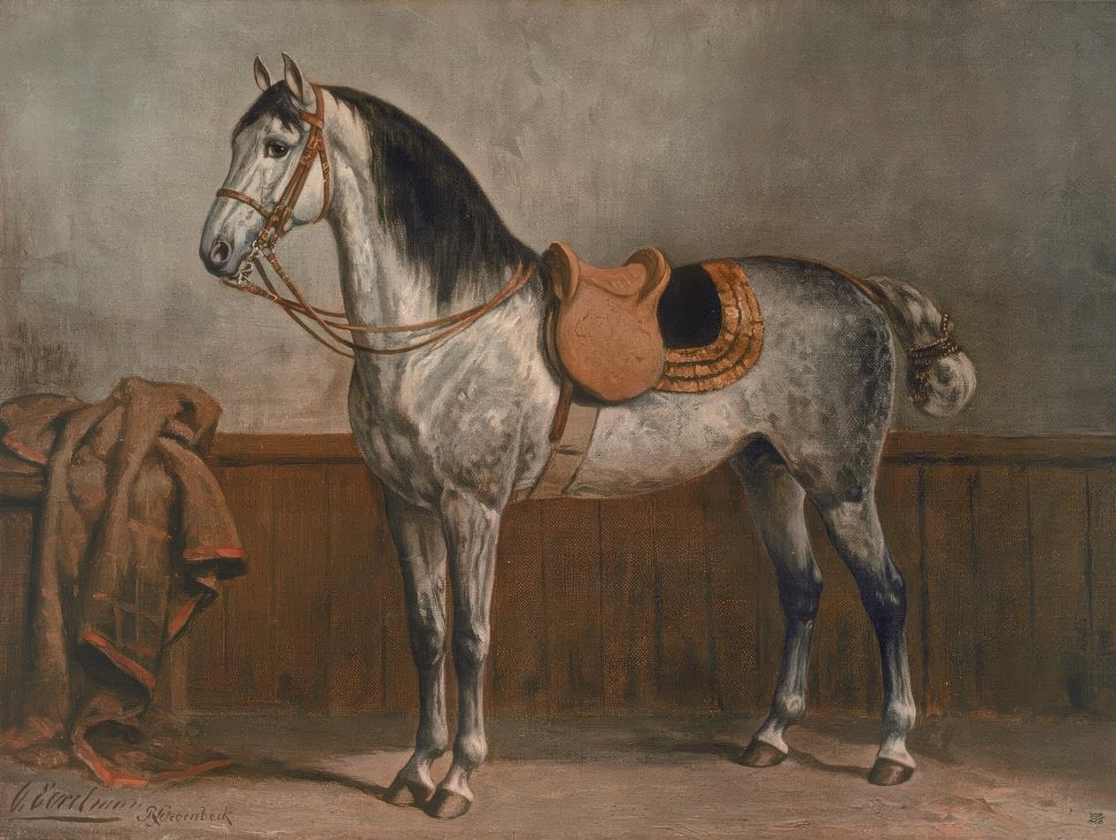Lipizzaner af Otto Eerelman