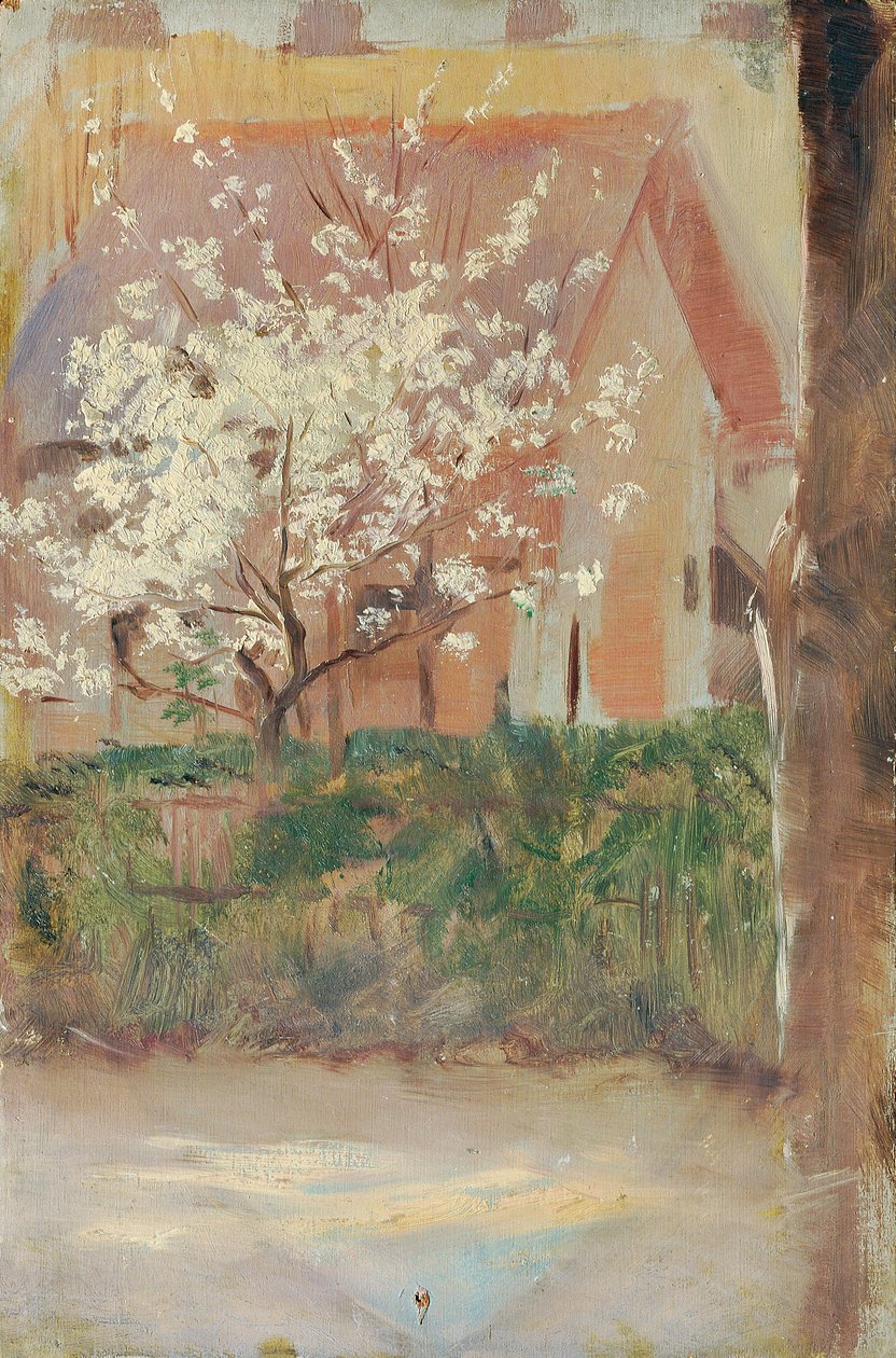 Hvidt blomstrende træ i forhaven af Otto Friedrich