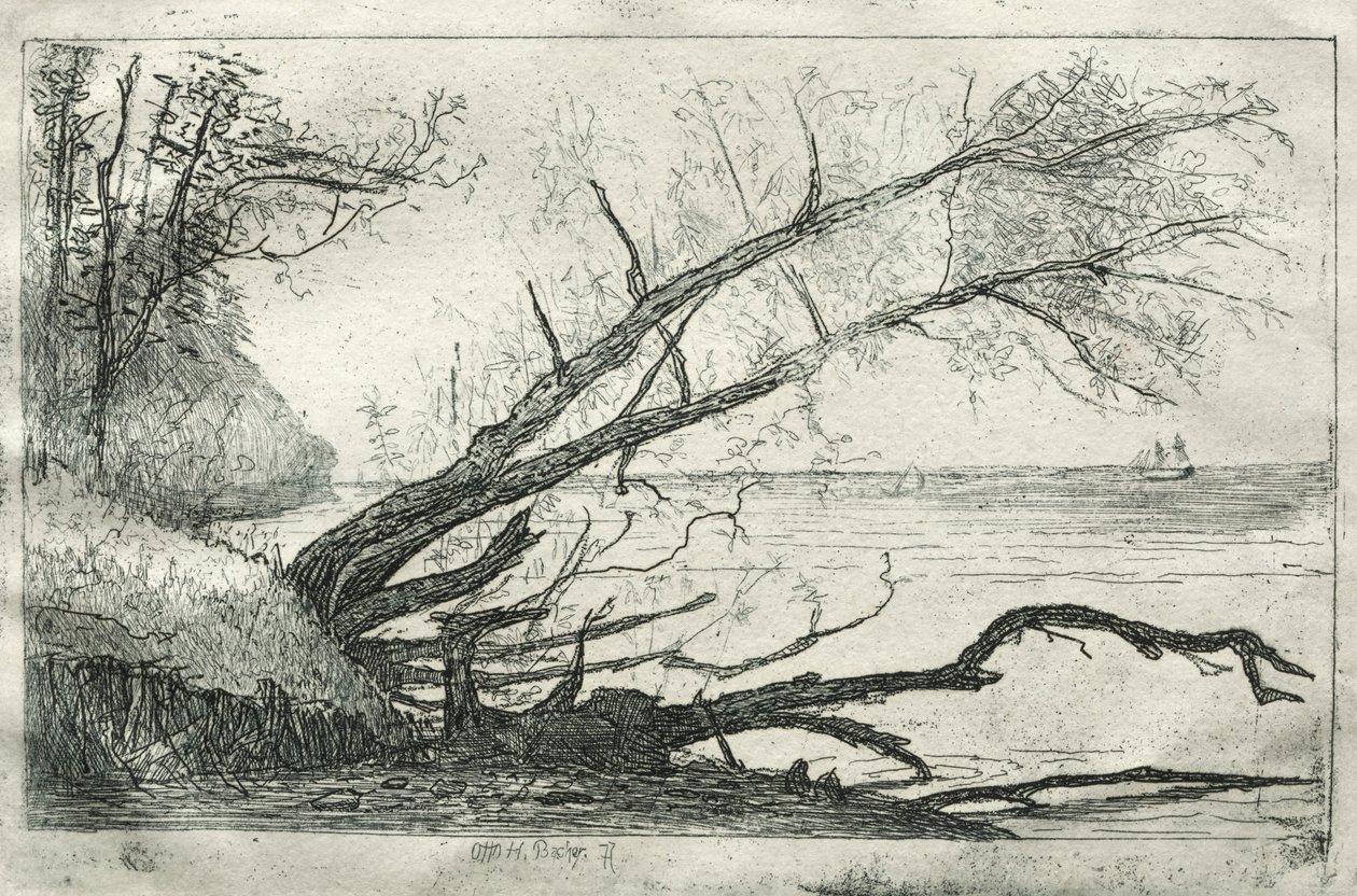 Old Sycamore, 1877. af Otto H. Bacher