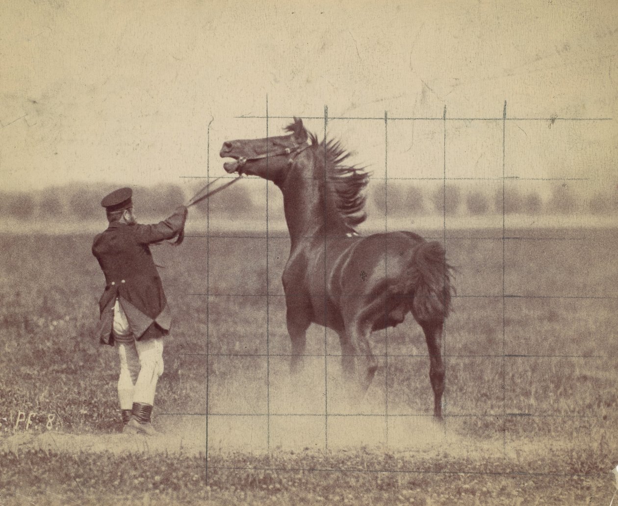 Hest, 1884. af Ottomar Anschütz