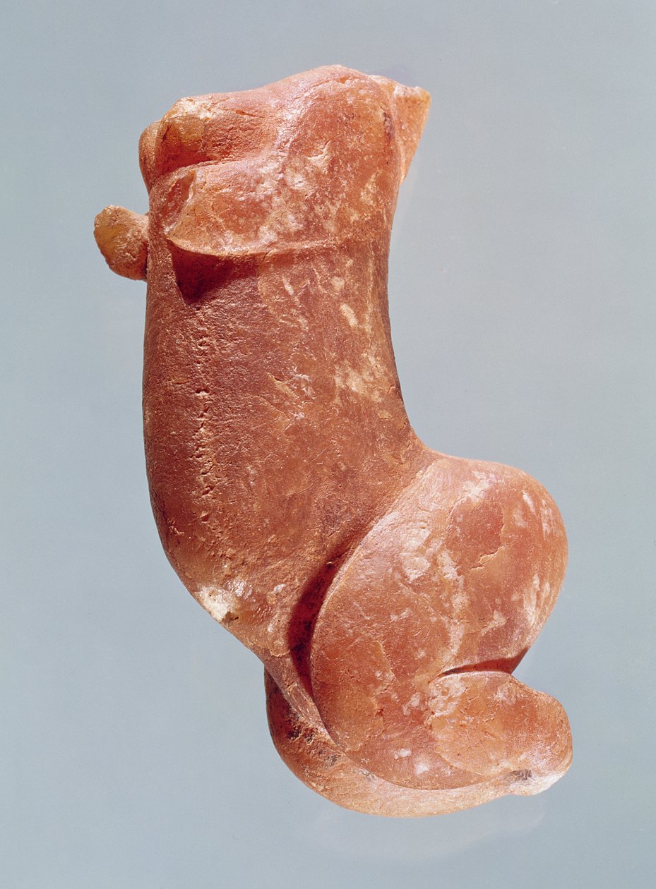 Udskæring af en ung pige, kendt som Venus af Sireuil, 35000-8000 f.Kr. af Paleolithic